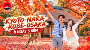 KYOTO - NARA - KOBE - OSAKA
